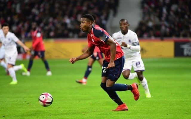 原本是闯入 原本是闯入