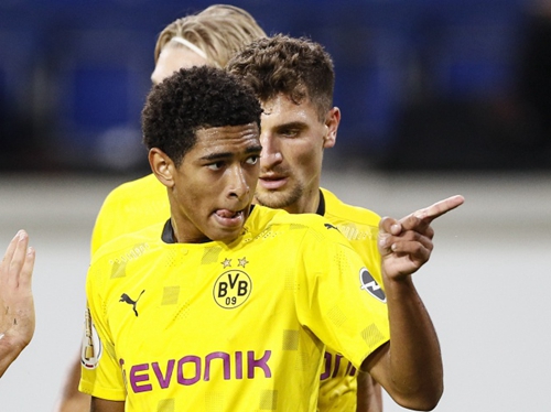 注重传导球 注重传导球